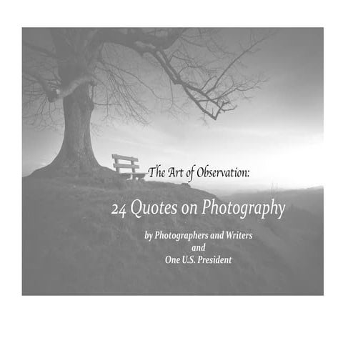 24 quotes on photography