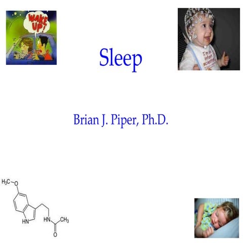 Introductory Psychology: Sleep