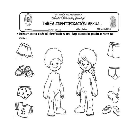 24 tarea identidad sexual