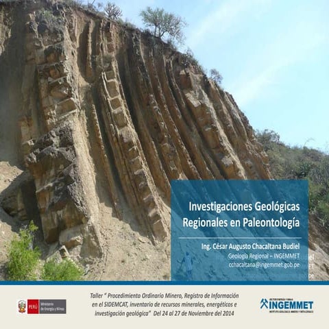 Investigaciones Geológicas Regionales en Paleontología
