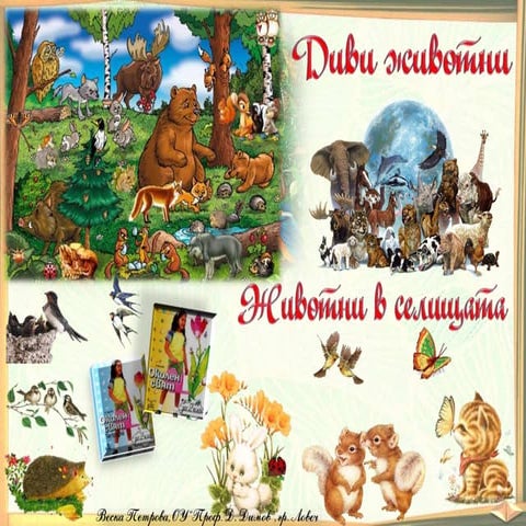 25. Диви животни. Животни в селищата - ОС, Анубис - В. П.