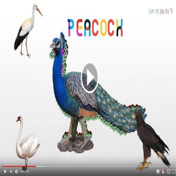 learning birds names and sounds videos for kids with colorful soccer ...