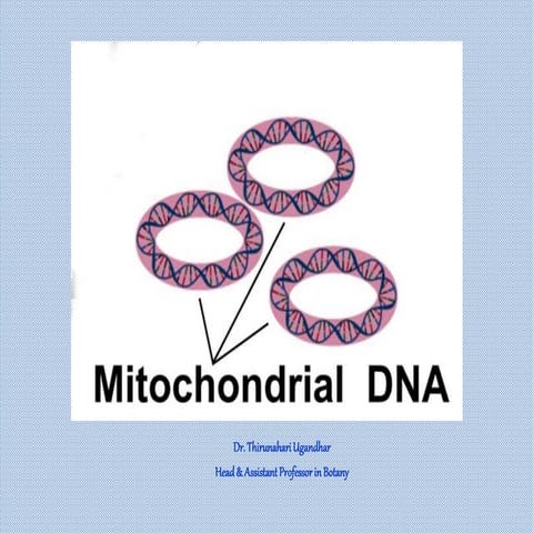 Mitochondrial dna 