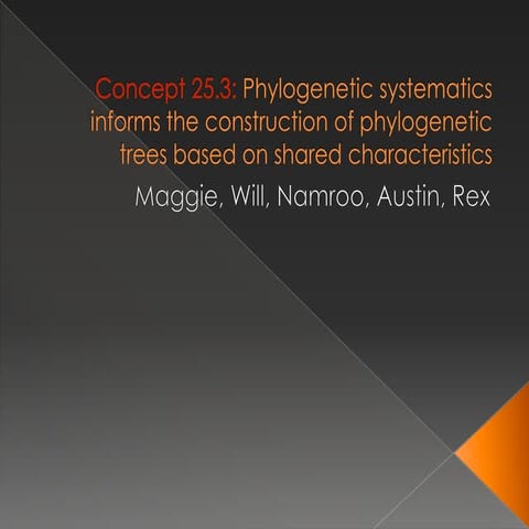 25.3 | PPT