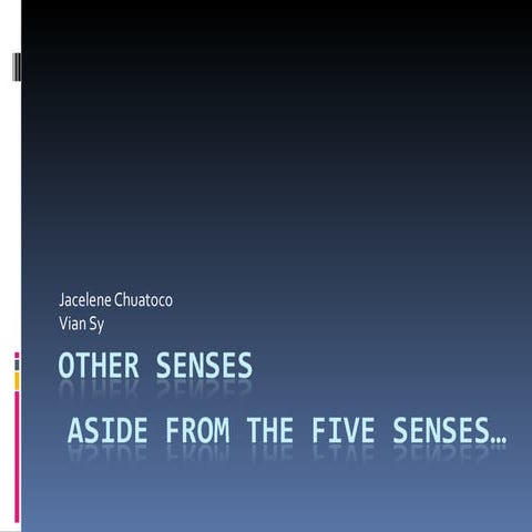 25. other senses
