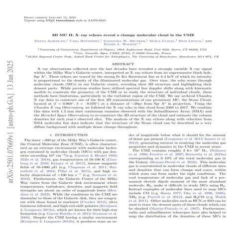 3D MC II: X–ray echoes reveal a clumpy molecular cloud in the CMZ