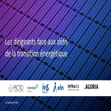 Les dirigeants face aux défis de la transition énergétique