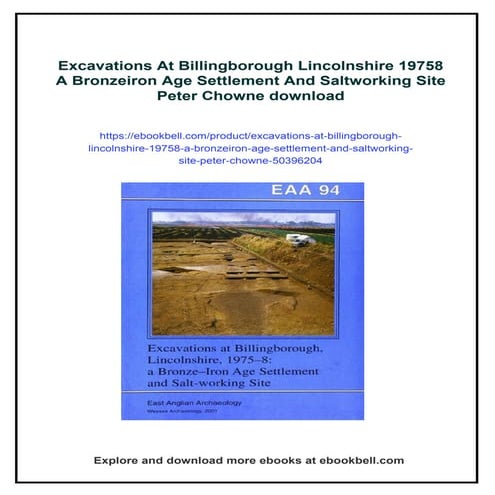 Excavations At Billingborough Lincolnshire 19758 A Bronzeiron Age Settlement ...
