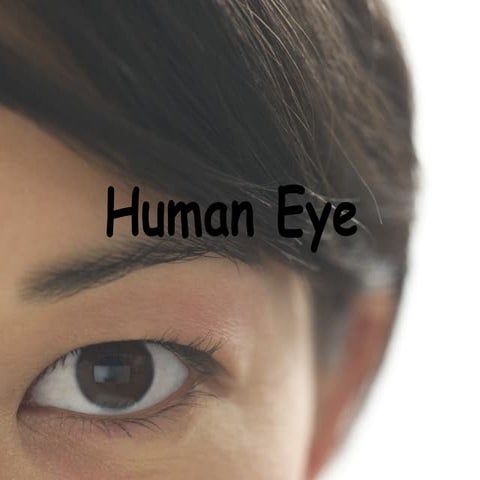 Human-Eye.its function layers and disorders relatedly