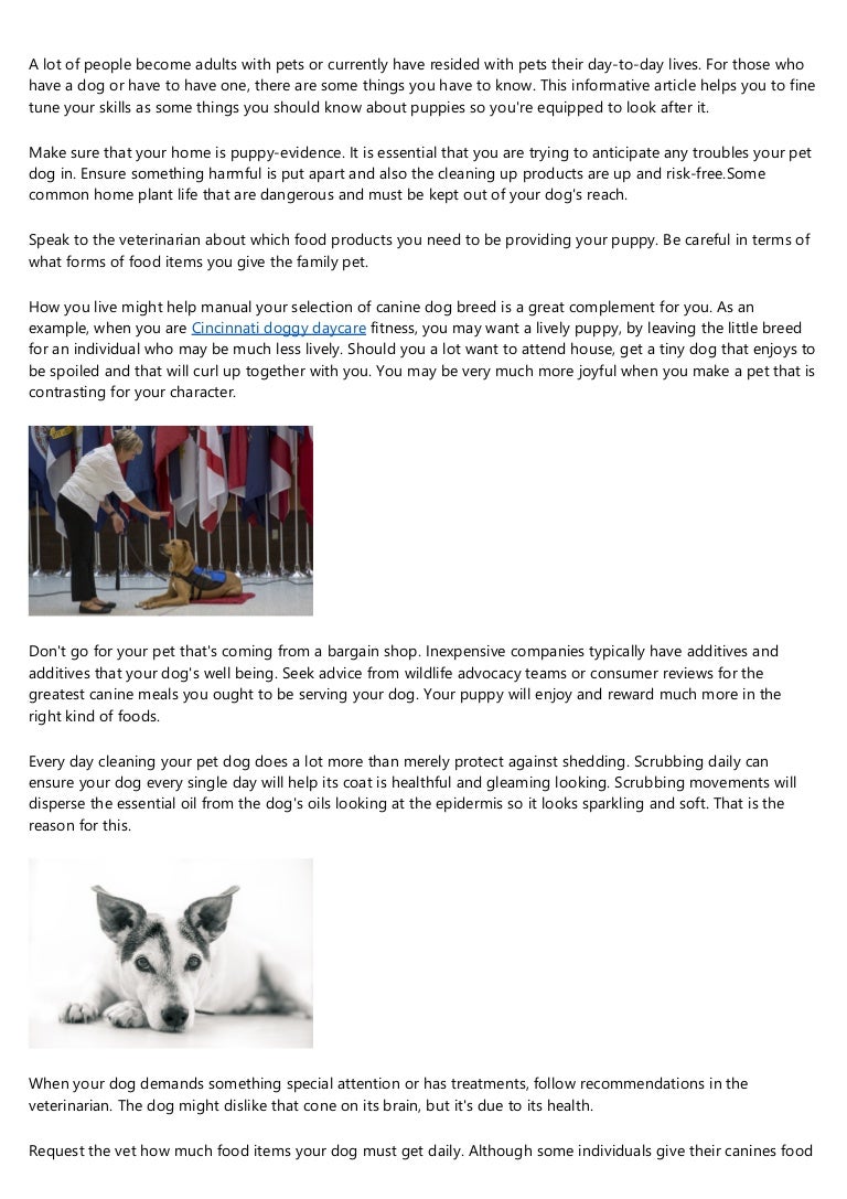 care a lot affordable vet