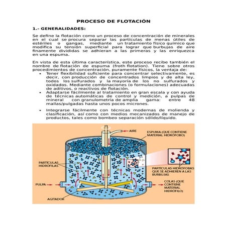 254213106 proceso-de-flotacion