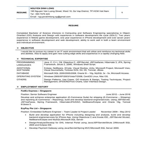 NGUYEN DINH LONG - RESUME