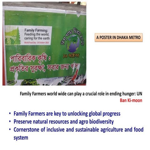 Homestead Farming: A bio-diversified system to enhance resiliency in the era ...