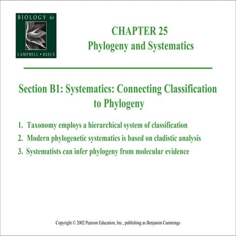 TAXONOMY TAXONOMICAL HIERARCHY AND SYSTEMATICS visual data 7