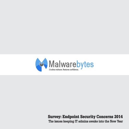 EndpointSecurityConcerns2014