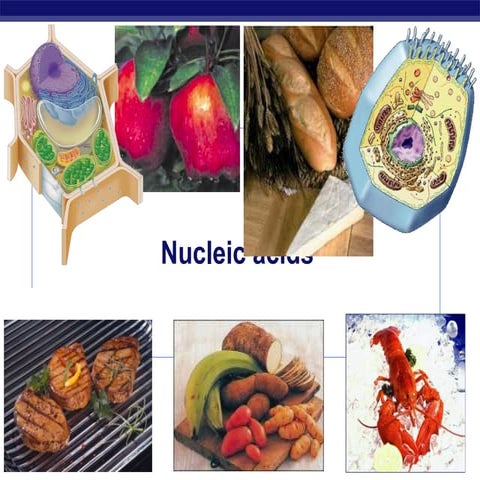 Mol bio classics | PDF