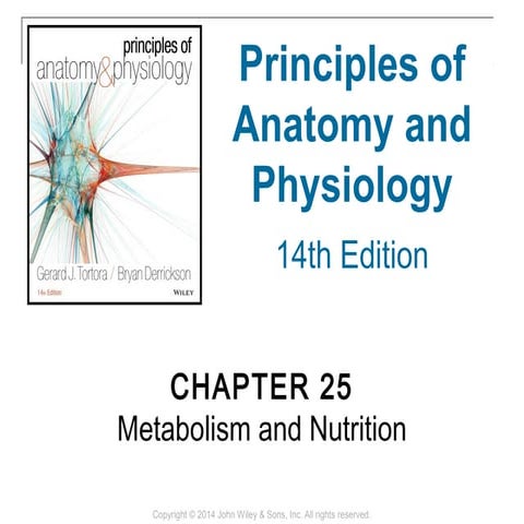 25 [chapter 25 metabolism and nutrition]