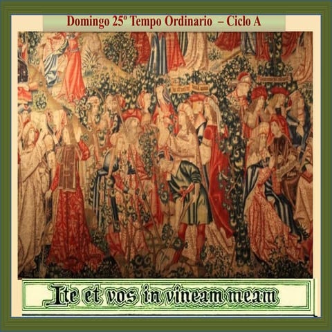 25º domingo toa  2014