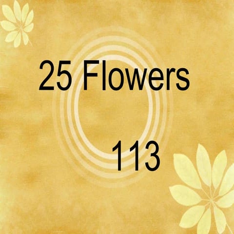 25 Flowers