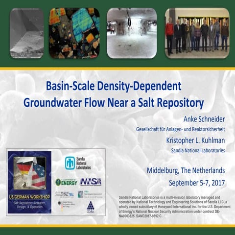 25 Basin-Scale Density-Dependent  Groundwater Flow Near a Salt Repository