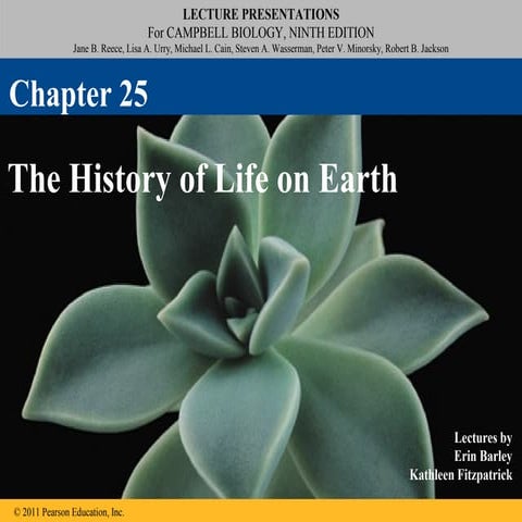 25 lecture history_of_life