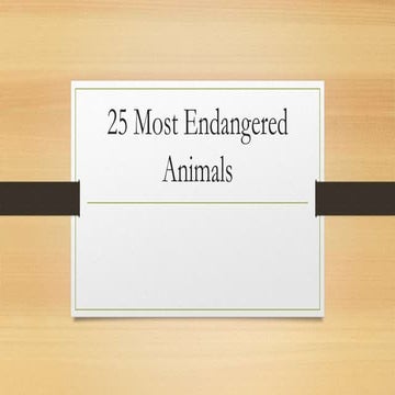 25 most endangered animals powerpoint