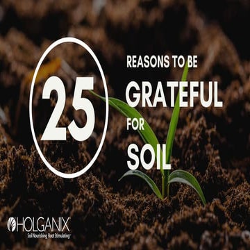 25 Reasons To Be Grateful For Soil