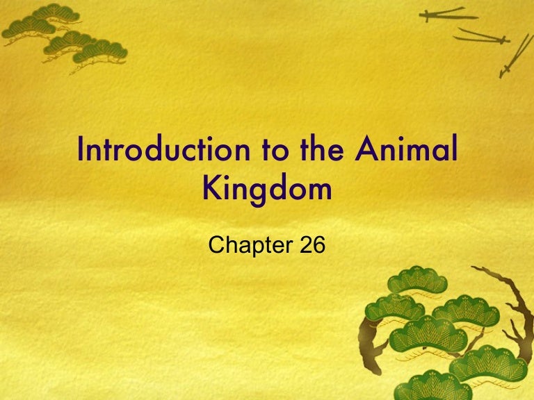 26 intro to the animal kingdom