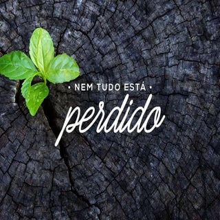Nem Tudo Está Perdido