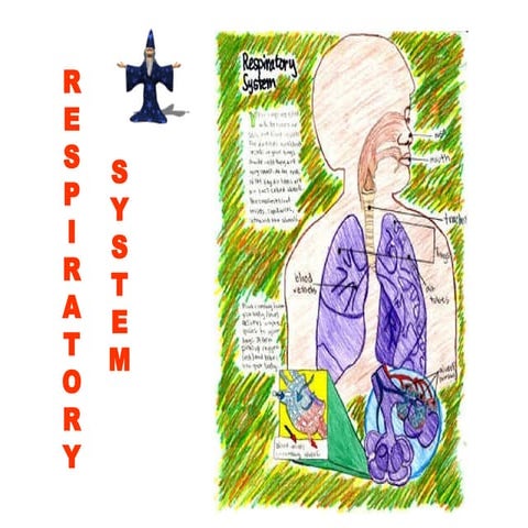 26. respiratory 1-07-08