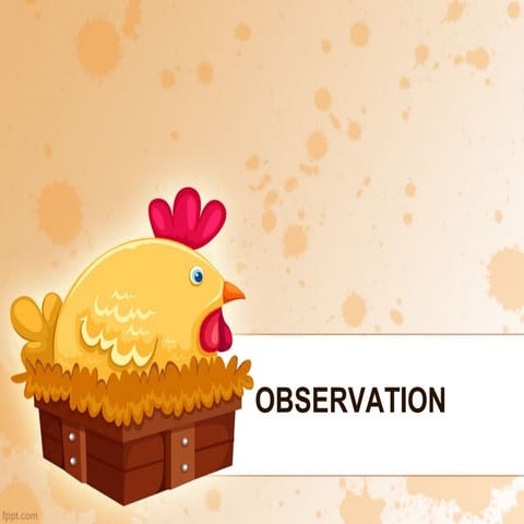 Observation In Research