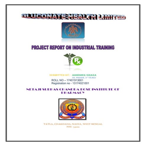 INDUSTRIAL TRAINING REPORT | PDF