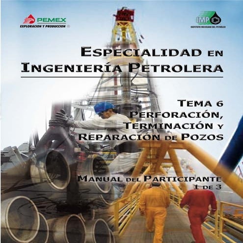 261960669-8-1-MP-Perforacion.pdf