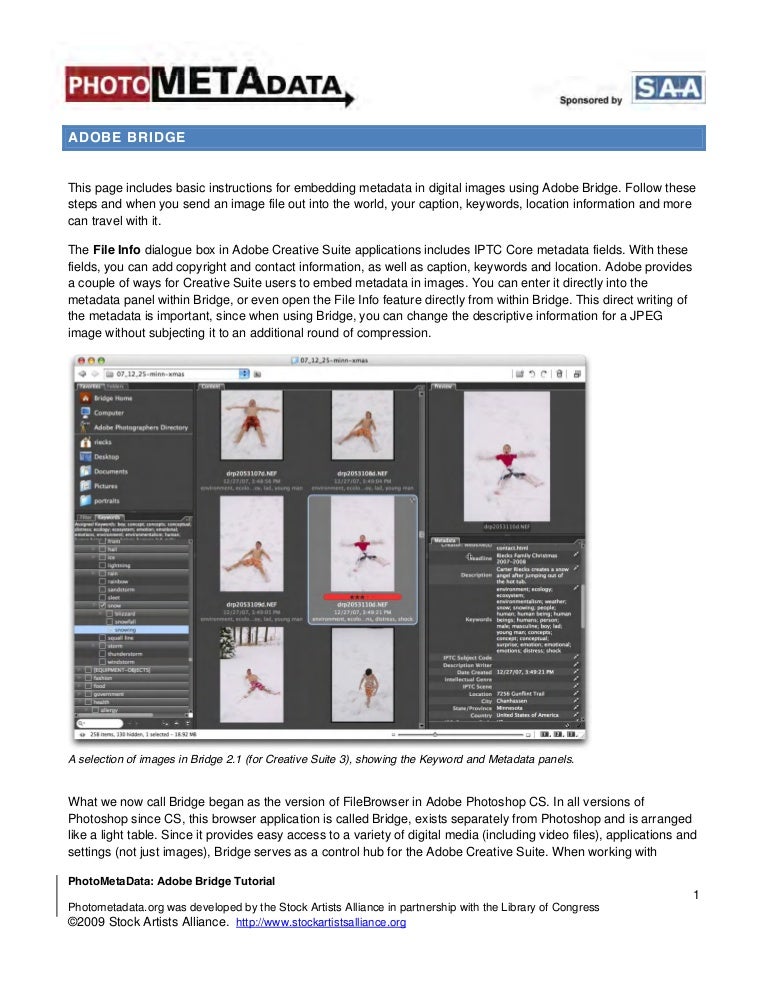 adobe bridge tutorial