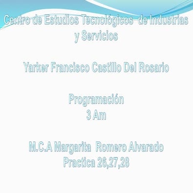 26, 27 y 28 practicas yarker