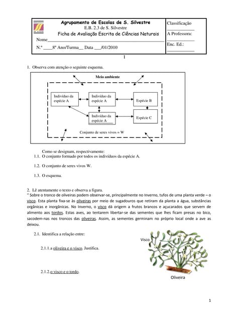 26344289 ficha-de-avaliacao-de-cn-8...