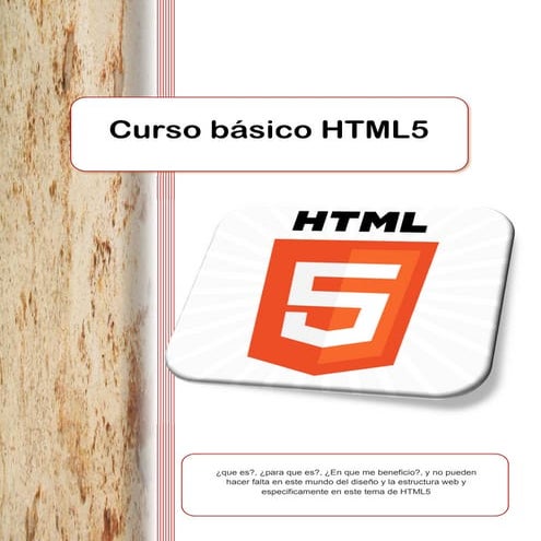 265069606-Curso-basico-HTML5.pdf