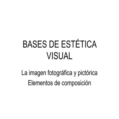 Bases estetica visual para el estudio de la comunicación y el fenómeno artístico