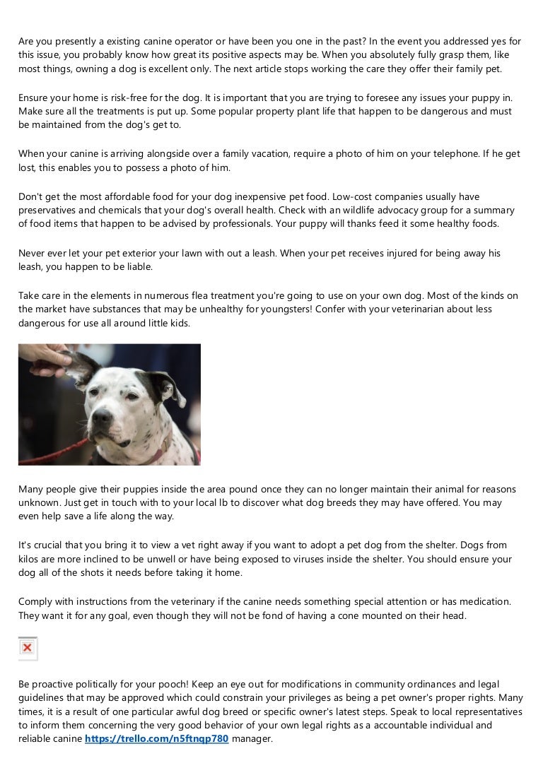 puppy health check cost