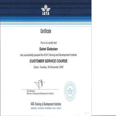 Customer service IATA 1.53.01 PM | PDF