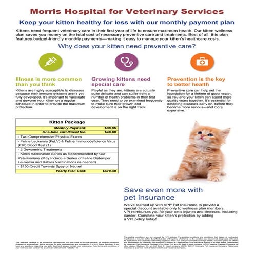 Kitten Package | PDF