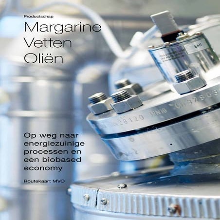 MVO-routekaart-rapport-v5 | PDF