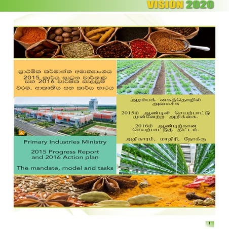 master MPI budget presentation02