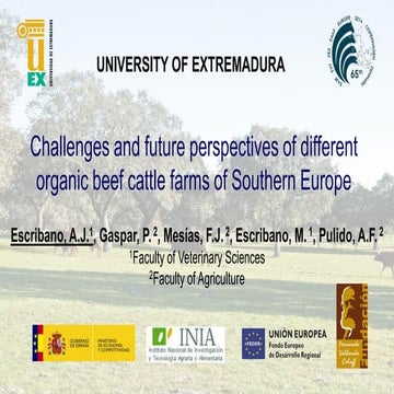 Challenges and future perspectives of different organic beef cattle farms of ...