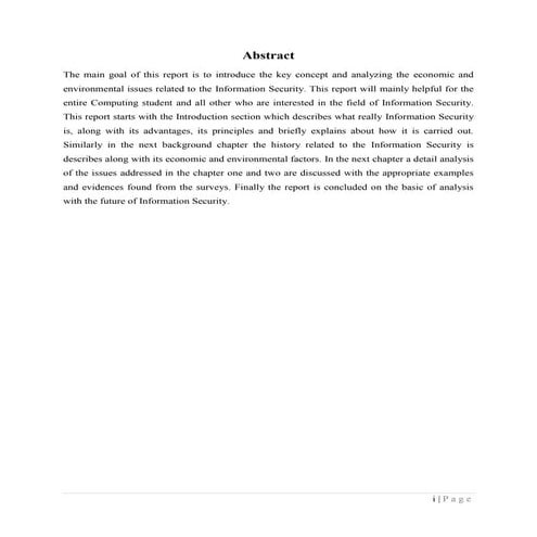 Report on Information Security