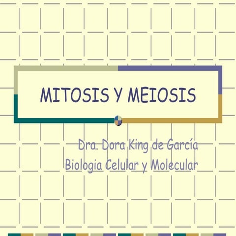 Biología - Mitosis y Meiosis