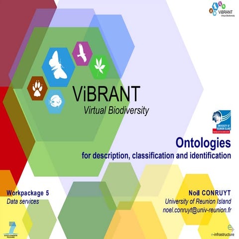 Ontologies for description, classification and identification processes