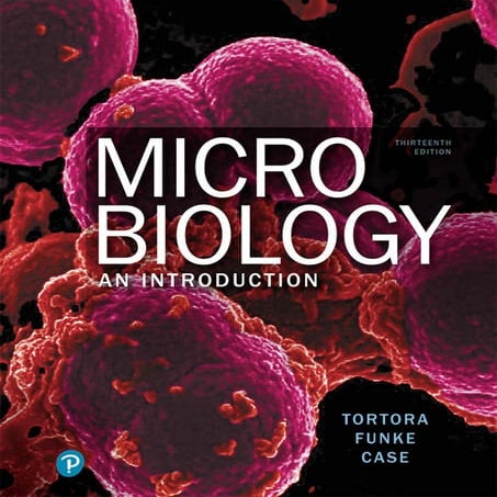 Microbiology an Introduction 13th Edition PDF Textbook