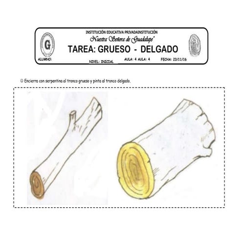 26   tare   grueso delgado