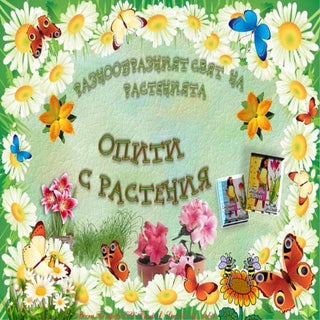 27. Разнообразният свят на растения...